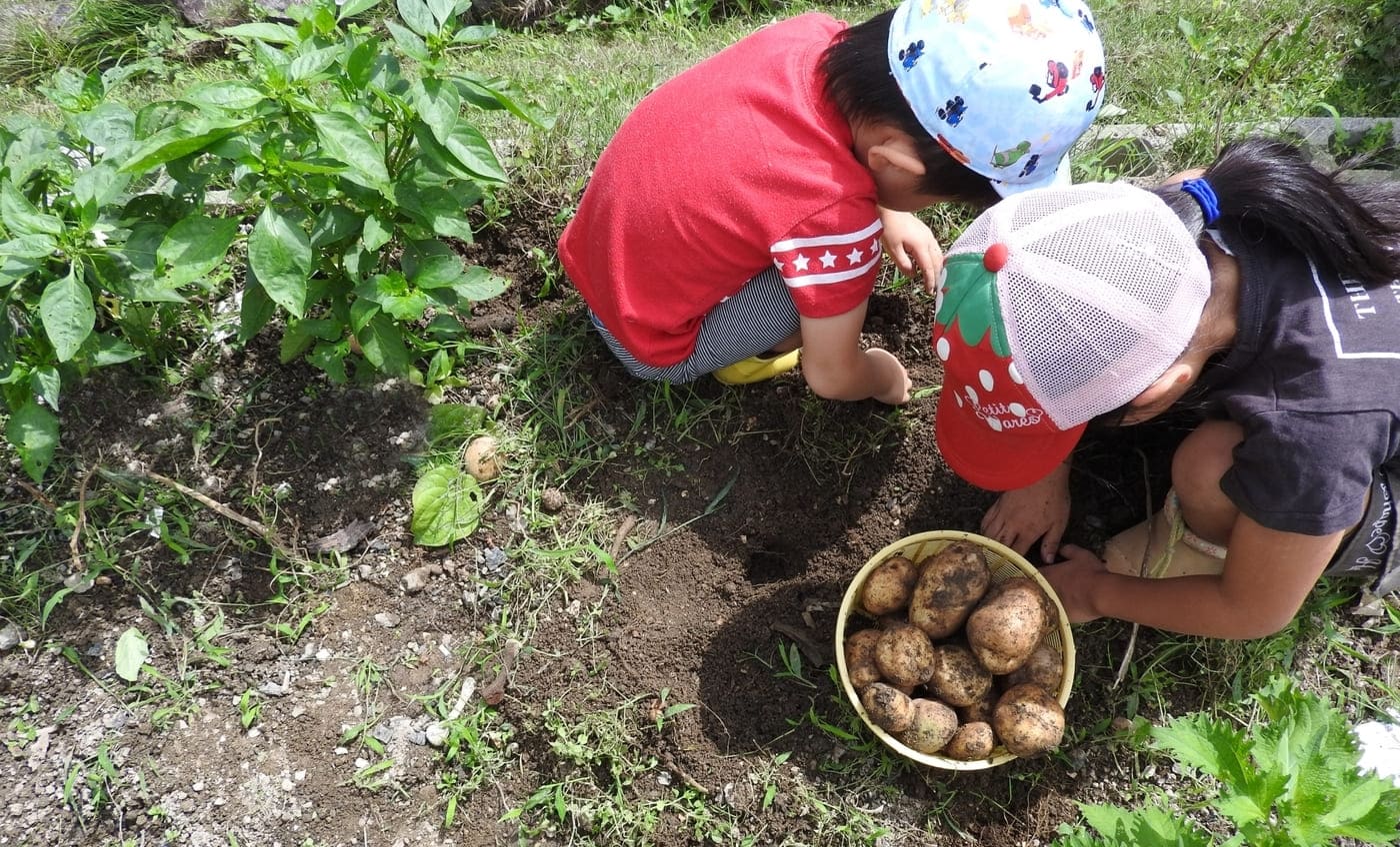 空き地活用 レンタル農園
