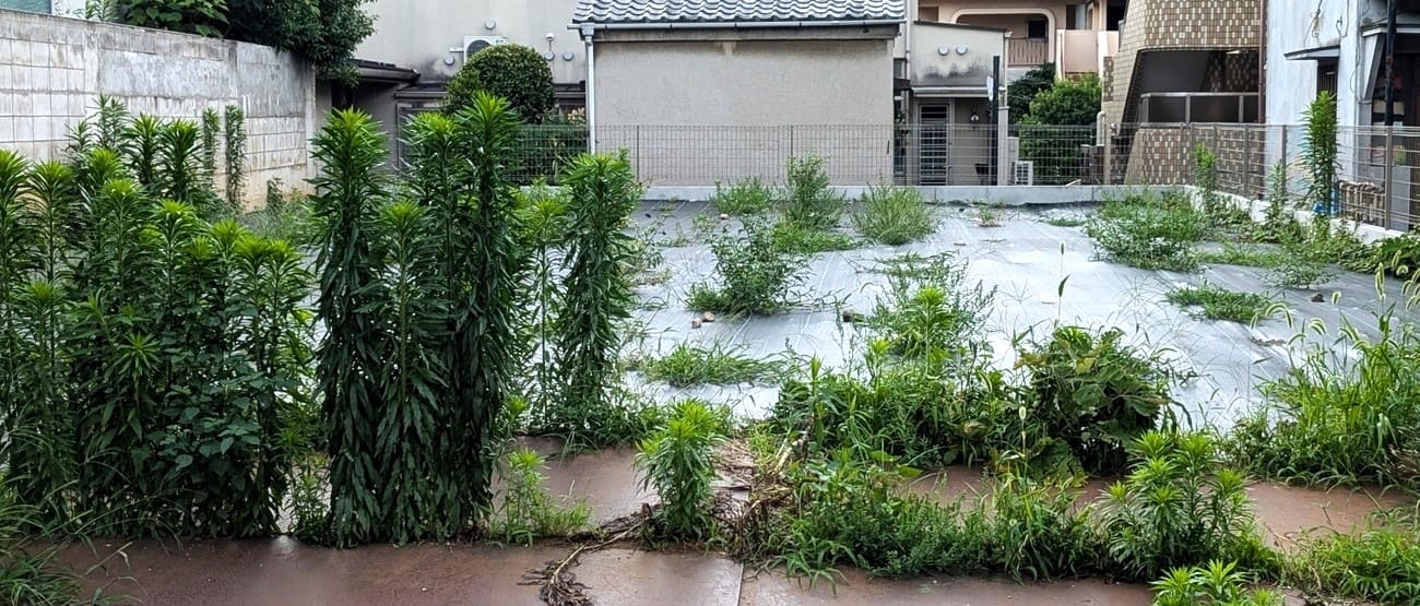 空き地 雑草対策
